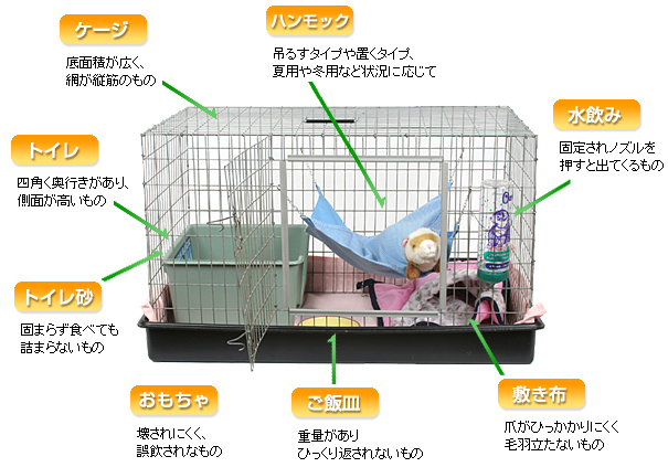 ケージチェックポイント