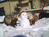 雪だるまとも仲良し