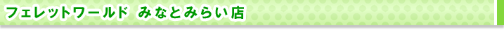 フェレットワールドみなとみらい店