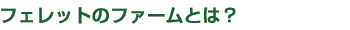 フェレットのファームとは?