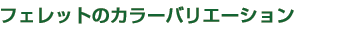 フェレットのカラーバリエーション