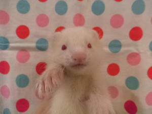 DSC05064