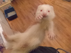 DSC05066