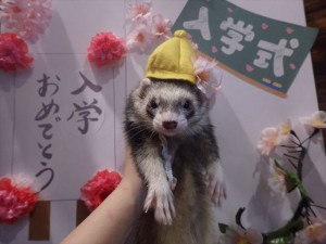 190322 br011