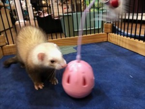 IMG_8540_R