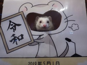 190528ohr007