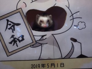190528ohro001