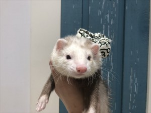 IMG_8712_R
