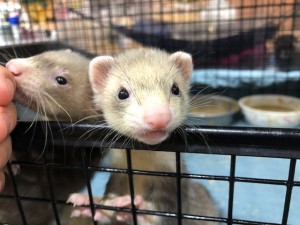 IMG_2971