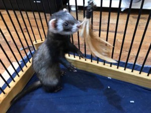 IMG_0508_R