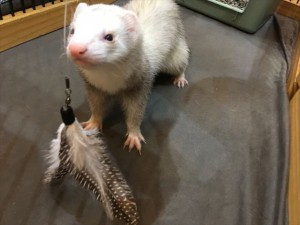 IMG_2496_R