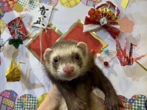 IMG_3568_R