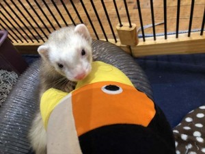 IMG_9206_R