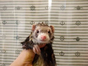 DSCF7417_R