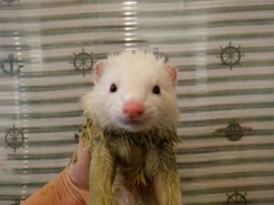 DSCF8129_R