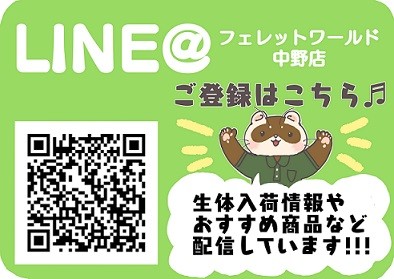 https://www.ferret-world.jp/wp-content/uploads/2020/06/linea.jpg