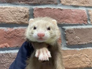 IMG_2633_R