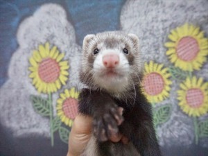 DSC03440_R