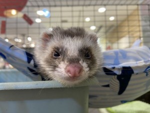 IMG_3074_R
