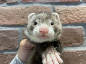 IMG_3545_R