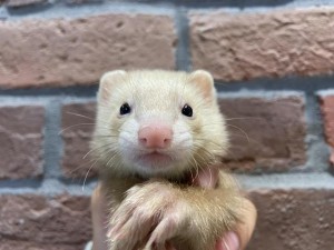 IMG_3552_R