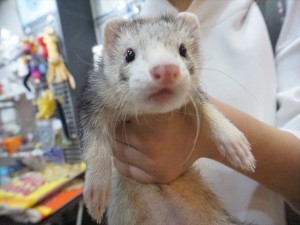 DSC05715_R