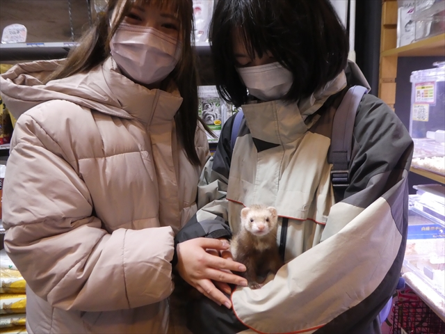 家族が決まりました 2 27 3 2 Ferret World