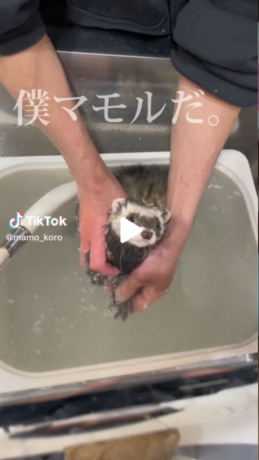 次回も中野店の魅力をお伝えする✌️