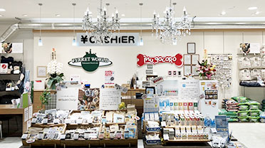 フェレットワールド ららぽーとTOKYO-BAY店