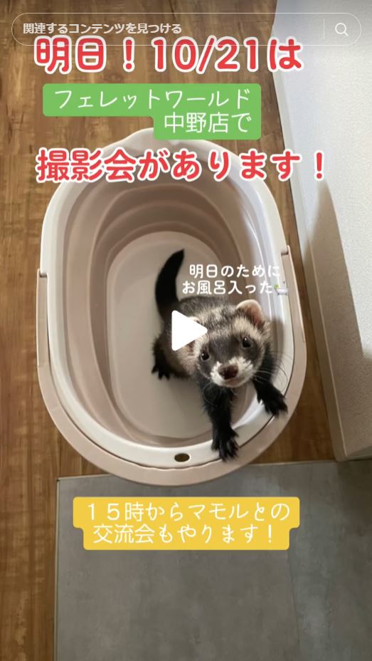 お知らせ📢