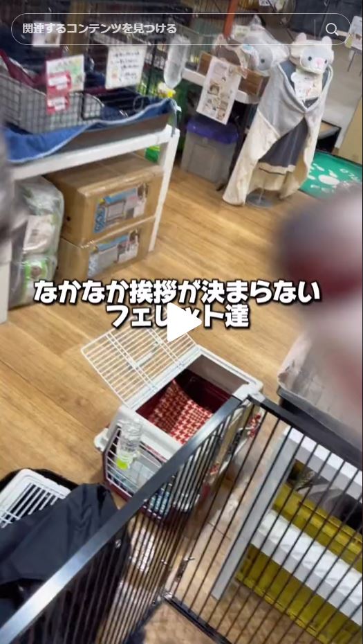 この前の交流会楽しかったです〜✨✨