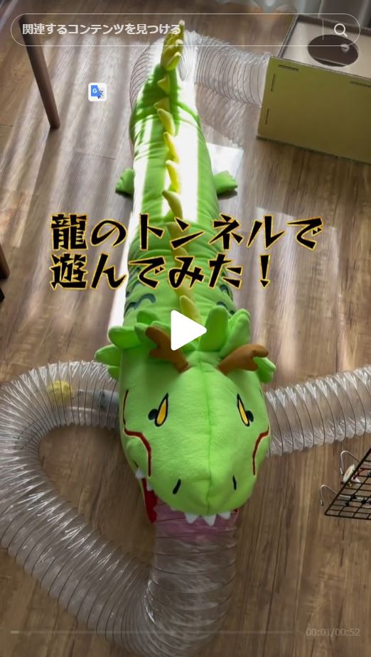 斬新な遊び方…