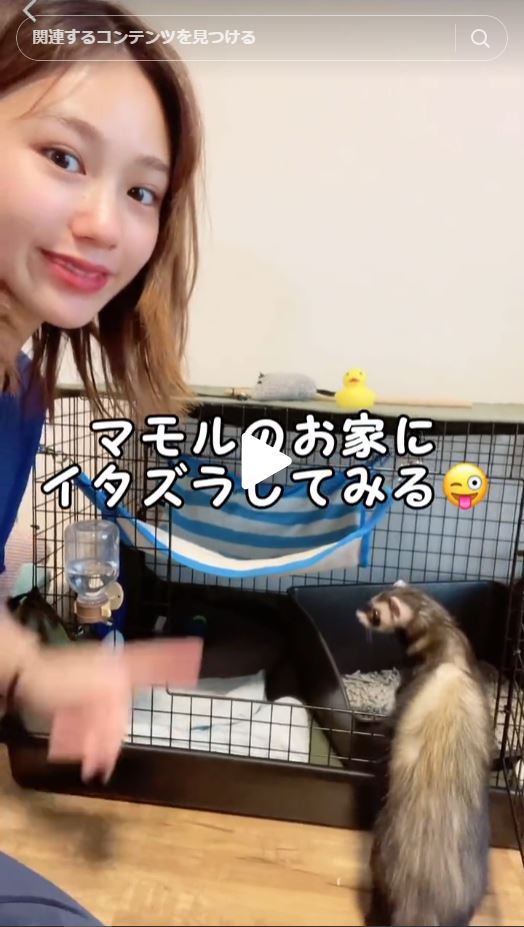 状況整理の行動が人間と同じ…🤣🤣