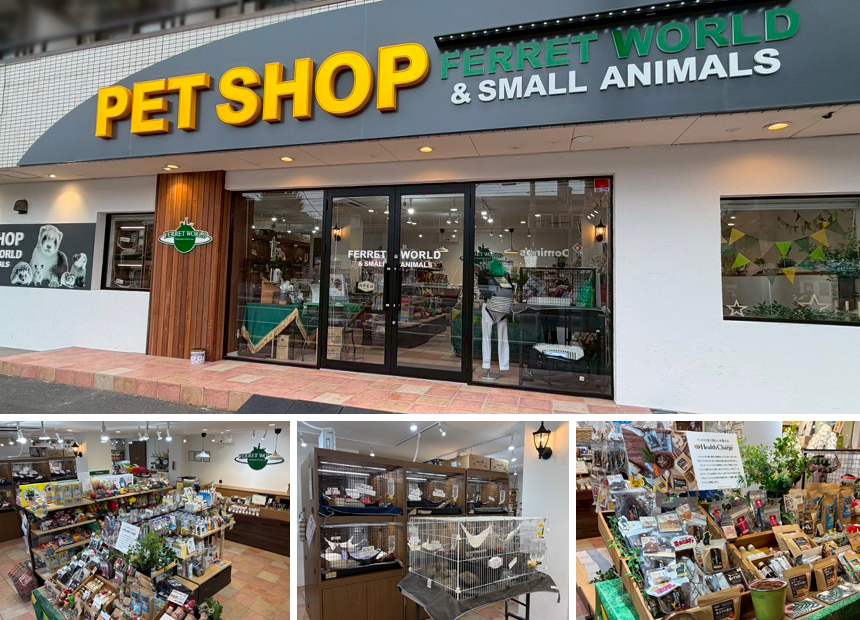 フェレットワールド 幕張店